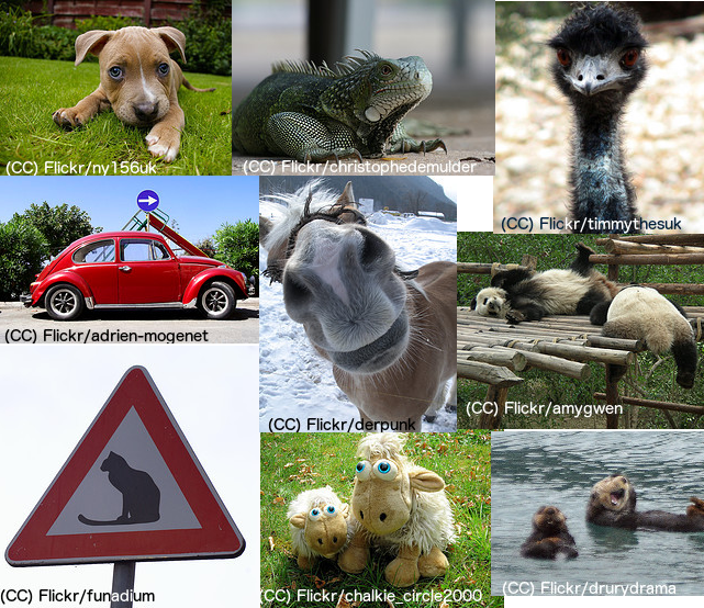A sample of things that are not cats.